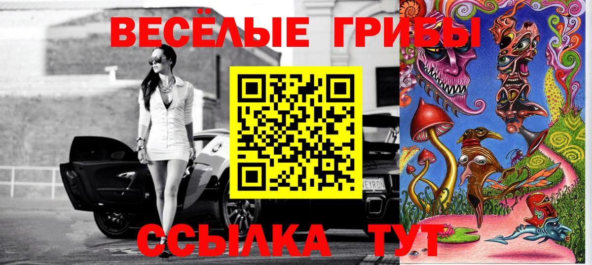 Жигулёвск  Галлюциногенные грибы MAGIC MUSHROOMS  Вход с VPN 