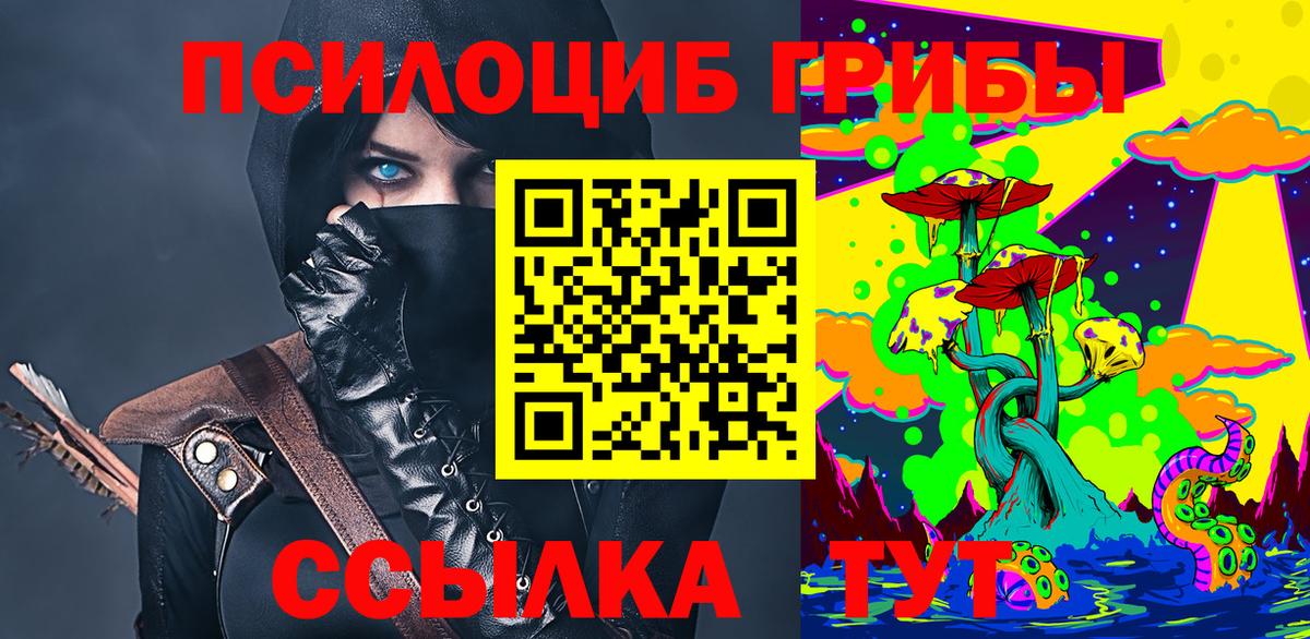 Псилоцибиновые грибы Cubensis  Жигулёвск 